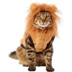 Frisco Lion Love Dog & Cat Costume -Ultimate Pet Shop 708318 PT2. AC SS1800 V1689341486