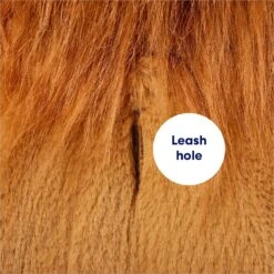 Frisco Lion Love Dog & Cat Costume -Ultimate Pet Shop 708318 PT6. AC SS1800 V1689351045