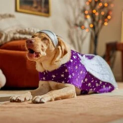 Frisco Shooting Stars Dog & Cat Costume -Ultimate Pet Shop 708614 PT7. AC SS1800 V1689278699