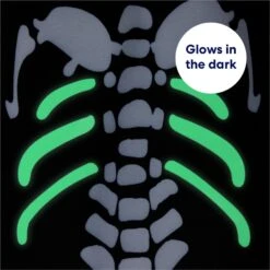 Frisco Glow In The Dark Skeleton Dog & Cat Costume 13 Frisco Glow In The Dark Skeleton Dog & Cat Costume -Ultimate Pet Shop 709038 PT5. AC SS1800 V1689340910