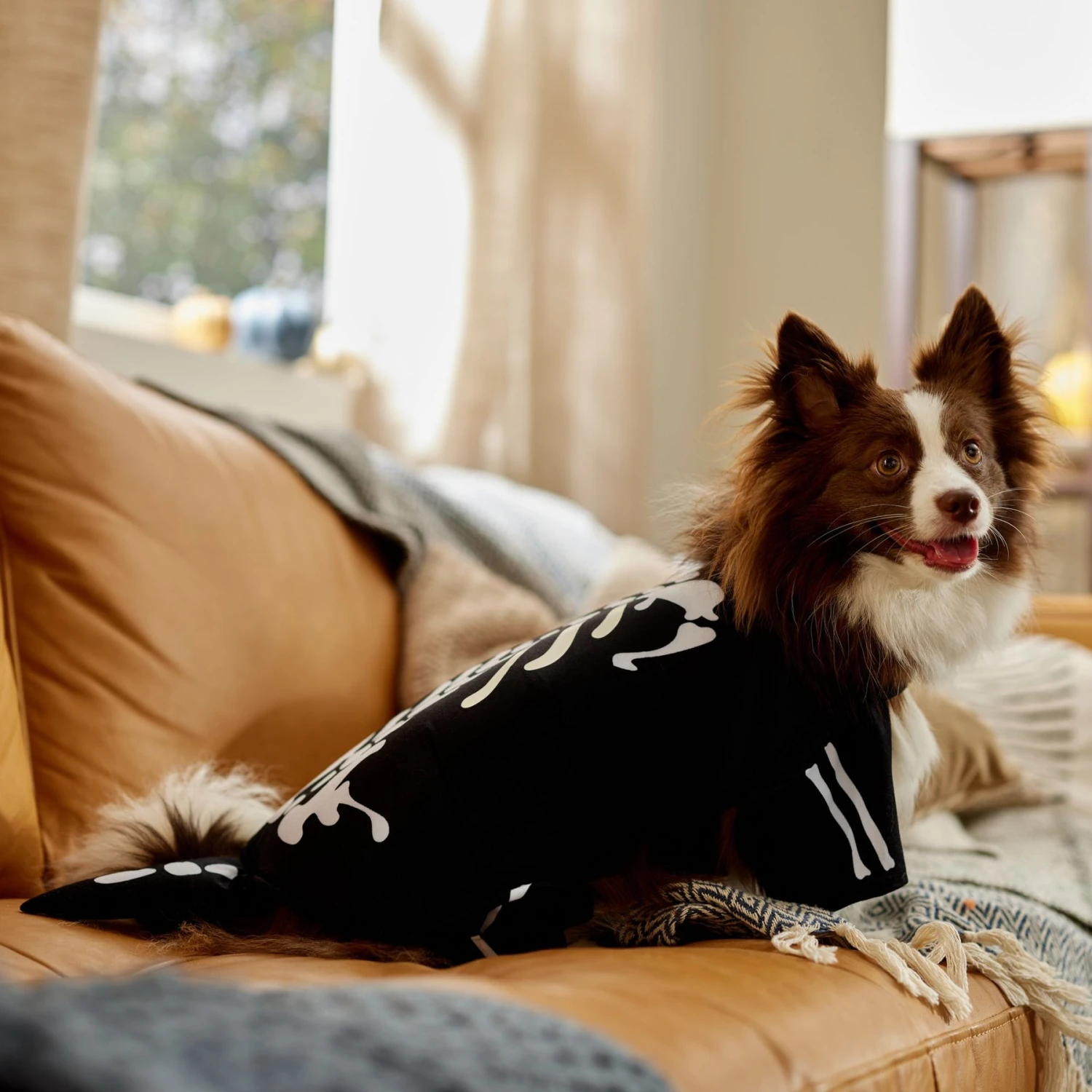 Frisco Glow In The Dark Skeleton Dog & Cat Costume 7 Frisco Glow In The Dark Skeleton Dog & Cat Costume - Image 7