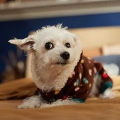 Frisco Cozy Plush Fleece Dog & Cat PJs, Mushrooms -Ultimate Pet Shop 718950 PT7. AC SS1800 V1692378098