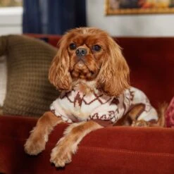 Frisco Fairisle Cozy Plush Fleece Dog & Cat PJs, Cream -Ultimate Pet Shop 719006 PT7. AC SS1800 V1692376367