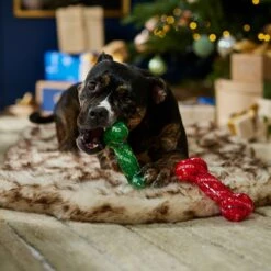 Frisco Holiday Naughty & Nice TPR Bone Squeaky Dog Toy -Ultimate Pet Shop 739702 PT3. AC SS1800 V1694812786