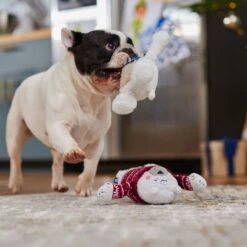 Frisco Holiday Polar Bear Friends Plush Squeaky Dog Toy -Ultimate Pet Shop 739822 PT3. AC SS1800 V1695043811