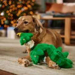 Frisco Holiday Elf In A Tree Bungee Plush Squeaky Dog Toy -Ultimate Pet Shop 739846 PT3. AC SS1800 V1695047600