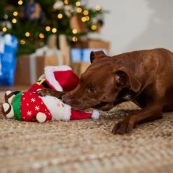 Frisco Holiday Santa On Vacation 2-in-1 Plush Squeaky Dog Toy -Ultimate Pet Shop 739894 PT3. AC SS1800 V1695045718