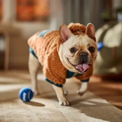 Frisco Wubby Textured Fleece Dog & Cat Hoodie W/ Pocket -Ultimate Pet Shop 742510 PT7. AC SS1800 V1692377765