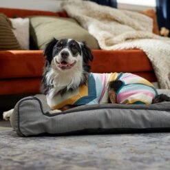 Frisco Cozy Waffle Knit Dog & Cat PJs, Stripe -Ultimate Pet Shop 744246 PT7. AC SS1800 V1692377766