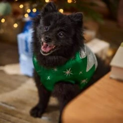 Frisco Ornament Dog & Cat Costume -Ultimate Pet Shop 745510 PT7. AC SS1800 V1694795535