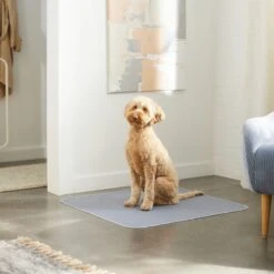 Skout's Honor Dog Pee Pad Refresher Spray, 28-oz Bottle & Frisco Washable Dog Potty Pads -Ultimate Pet Shop 772958 PT8. AC SS1800 V1676752183