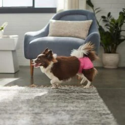 Skout's Honor Laundry Booster Stain & Odor Removal Additive, 32-oz Bottle & Frisco Washable Female Diaper -Ultimate Pet Shop 773022 PT8. AC SS1800 V1676749103