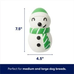 Frisco Holiday Snowman Latex Squeaky Dog Toy -Ultimate Pet Shop 773870 PT1. AC SS1800 V1695046490