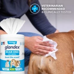 Vetnique Labs Glandex Wipes Rear End Anal Gland Cleansing & Deodorizing Hygienic Rear End Boot The Scoot Dog & Cat Wipes & Frisco Disposable Male Dog Wraps 13 Vetnique Labs Glandex Wipes Rear End Anal Gland Cleansing & Deodorizing Hygienic Rear End Boot The Scoot Dog & Cat Wipes & Frisco Disposable Male Dog Wraps -Ultimate Pet Shop 826454 PT4. AC SS1800 V1682018155