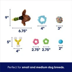 Frisco Forest Friends Plush, Rope & TPR Variety Pack Dog Toy -Ultimate Pet Shop 843534 PT2. AC SS1800 V1693411070
