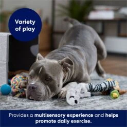 Frisco Forest Friends Plush, Rope & TPR Variety Pack Dog Toy -Ultimate Pet Shop 843534 PT3. AC SS1800 V1693411070