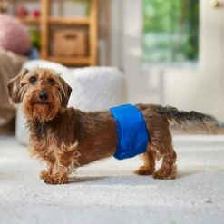 Frisco Washable Dog Diaper Male Wraps -Ultimate Pet Shop 862854 PT3. AC SS1800 V1698950172