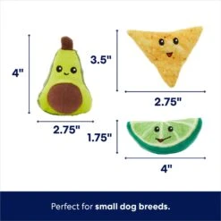 Frisco Guacamole Hide & Seek Puzzle Plush Squeaky Dog Toy & ZippyPaws Burrow Squeaky Hide & Seek Plush Dog Toy, Hedgehog Den -Ultimate Pet Shop 933622 PT4. AC SS1800 V1693327345
