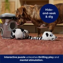 Frisco Trash Can & Raccoons Hide & Seek Puzzle Plush Squeaky Dog Toy & ZippyPaws Burrow Squeaky Hide & Seek Plush Dog Toy, Hedgehog Den -Ultimate Pet Shop 947446 PT4. AC SS1800 V1693601987