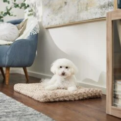 Frisco Double Door Furniture Style Dog Crate, Black & Frisco Swirl Dog Crate Mat -Ultimate Pet Shop 947710 PT5. AC SS1800 V1693921603