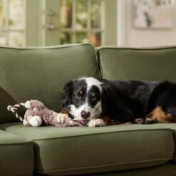 Frisco Monkey Plush With Rope Squeaky Dog Toy & Frisco Cow Plush With Inside Rope Squeaky Dog Toy -Ultimate Pet Shop 961998 PT4. AC SS1800 V1694784009