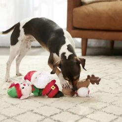 Frisco Holiday Santa's Helpers Plush Squeaky Dog Toy, 3 Count & Frisco Holiday Tree Thin Plush Squeaky Dog Toy -Ultimate Pet Shop 986222 PT4. AC SS1800 V1698258463