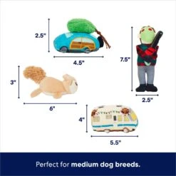 Frisco Holiday House Hide & Seek Puzzle Plush Squeaky Dog Toy & Frisco Holiday North Pole Mailbox Hide & Seek Puzzle Plush Squeaky Dog Toy -Ultimate Pet Shop 986286 PT3. AC SS1800 V1698257799