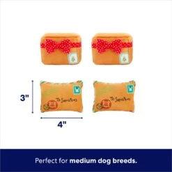 Frisco Holiday House Hide & Seek Puzzle Plush Squeaky Dog Toy & Frisco Holiday North Pole Mailbox Hide & Seek Puzzle Plush Squeaky Dog Toy -Ultimate Pet Shop 986286 PT7. AC SS1800 V1698258056