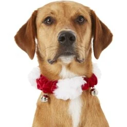 Frisco Jingle Bells Dog & Cat Holiday Collar With Bells, 1 Count & Frisco Holiday Antler Headband & Bell Collar Dog & Cat Costume -Ultimate Pet Shop 986294 PT3. AC SS1800 V1698257734